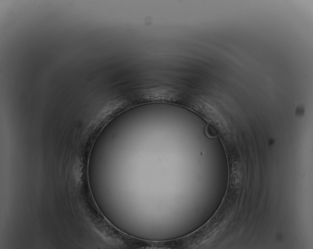 X0000097980255200804011751