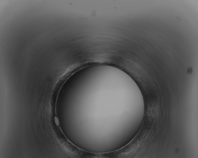 X0000097980256200804011751