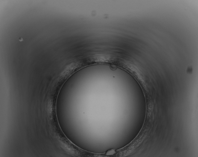 X0000097980257200804011751
