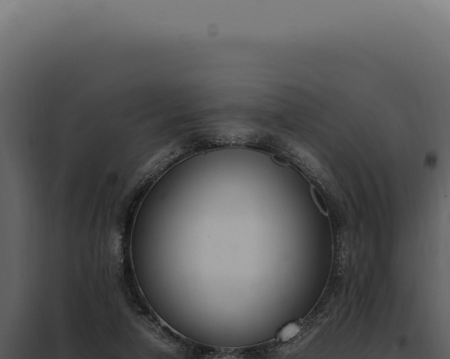 X0000097980258200804011751