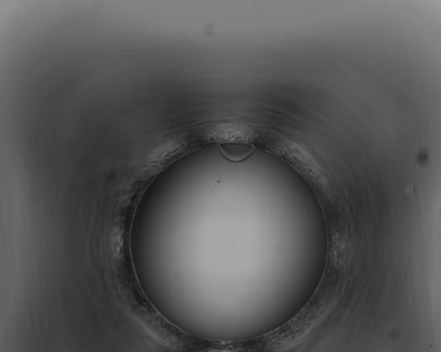 X0000097980259200804011751
