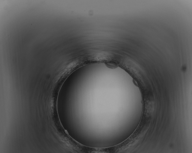 X0000097980260200804011751