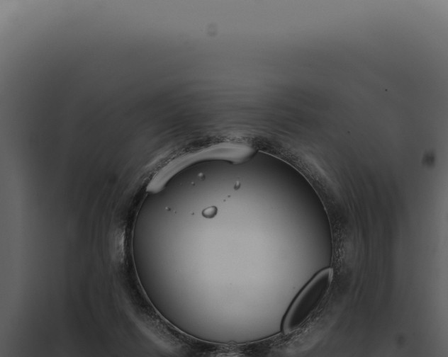 X0000097980262200804011751