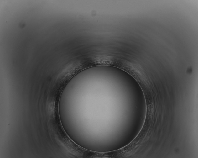 X0000097980263200804011751