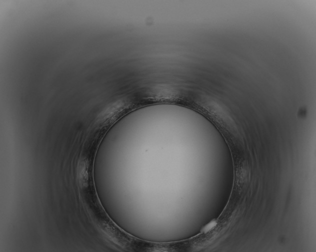 X0000097980264200804011751