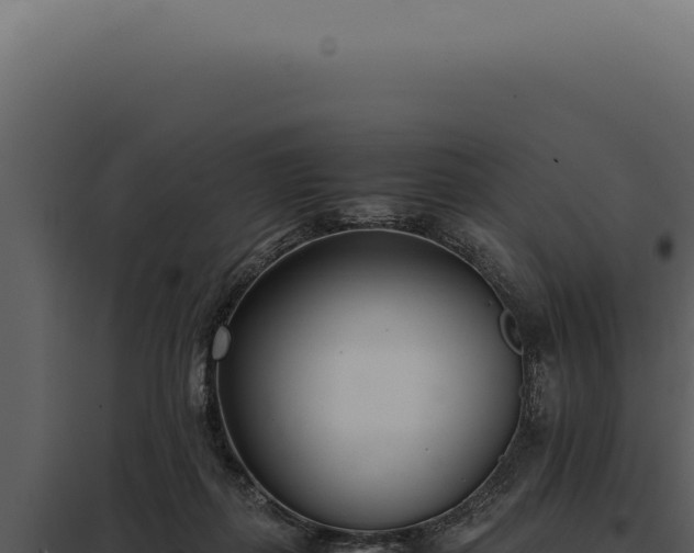 X0000097980267200804011751