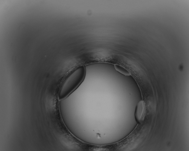 X0000097980268200804011751