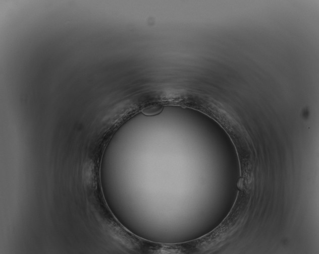 X0000097980270200804011751