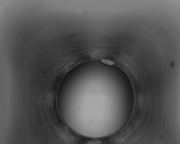 X0000097980271200804011751