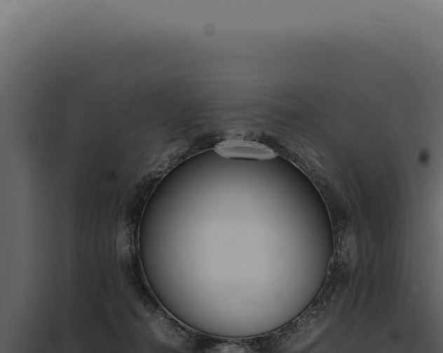 X0000097980272200804011751