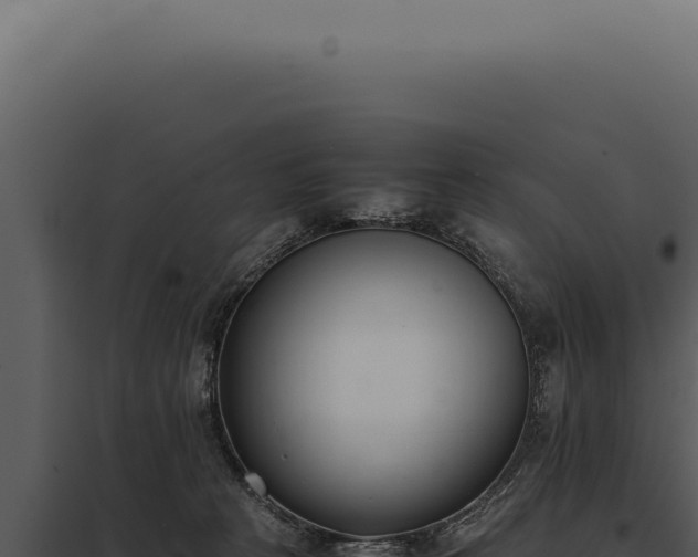 X0000097980273200804011751
