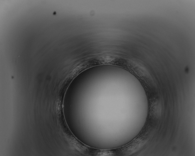 X0000097980274200804011751