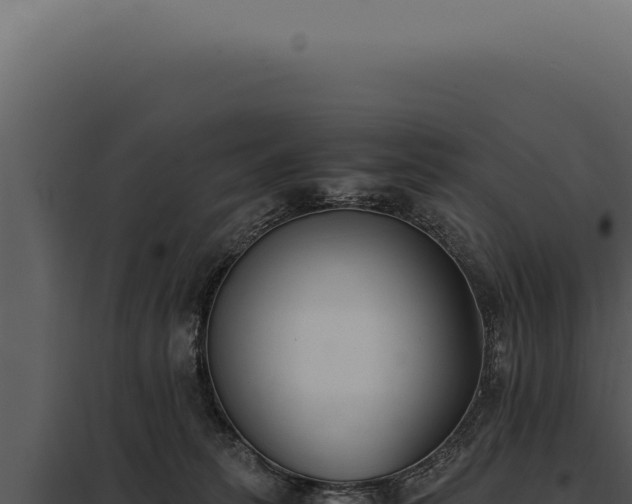X0000097980275200804011751