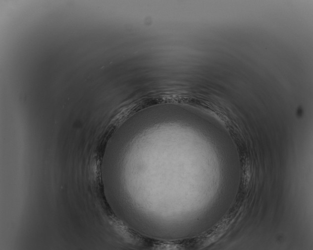 X0000097980276200804011751