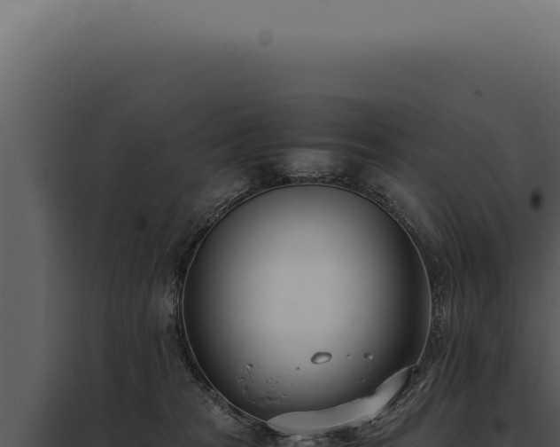 X0000097980277200804011751