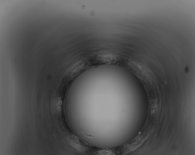 X0000097980279200804011751