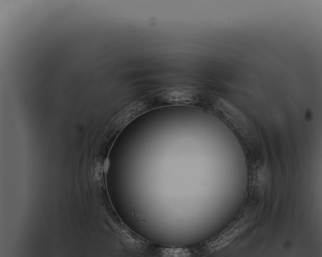 X0000097980281200804011751
