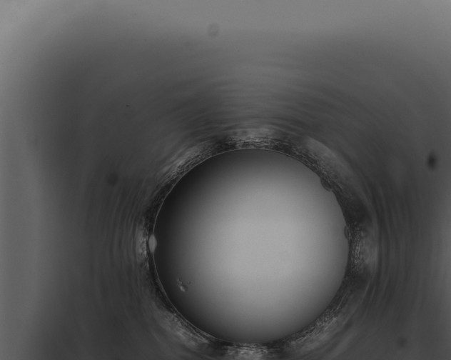X0000097980282200804011751