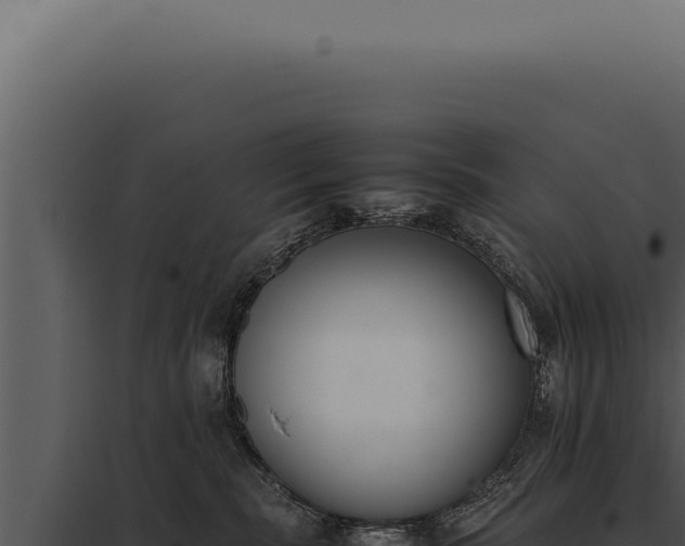 X0000097980283200804011751