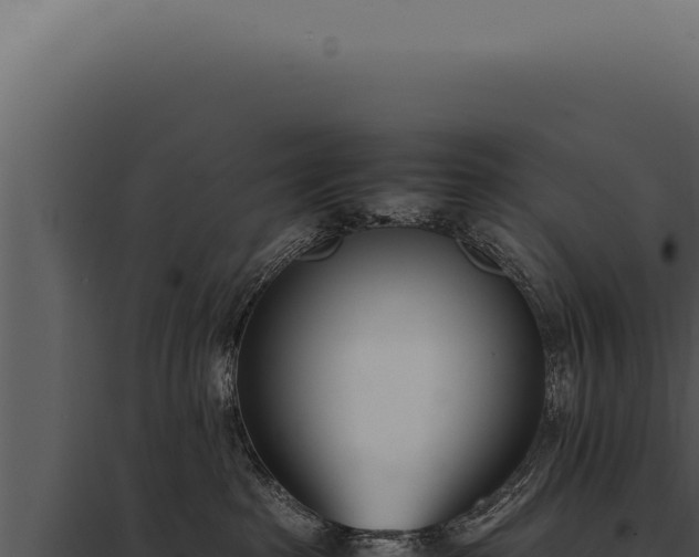 X0000097980285200804011752