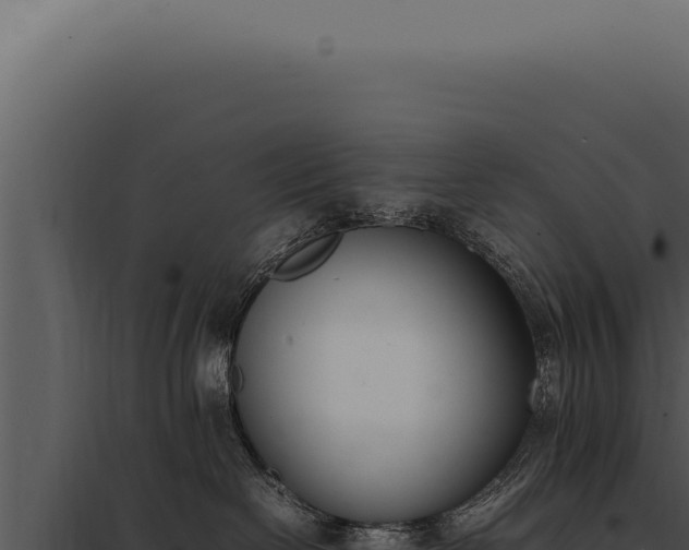 X0000097980286200804011752