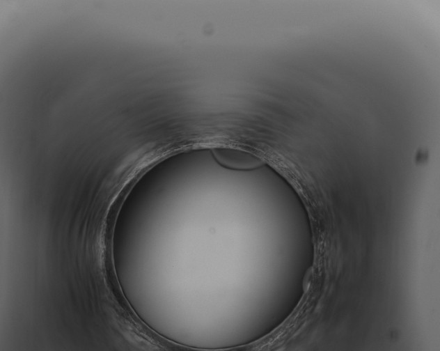 X0000097980290200804011751