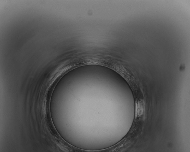 X0000097980291200804011751