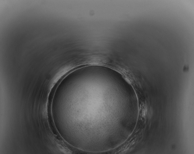 X0000097980292200804011751