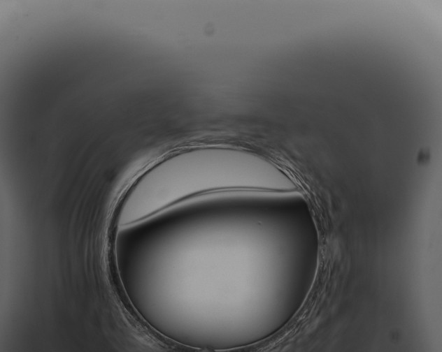 X0000097980293200804011751