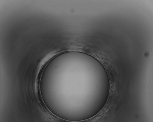 X0000097980294200804011751