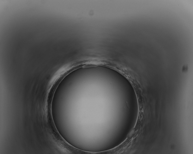 X0000097980296200804011751