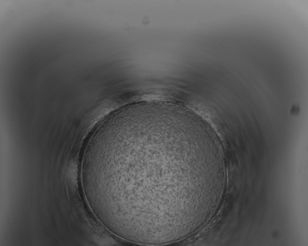 X0000097980297200804011751