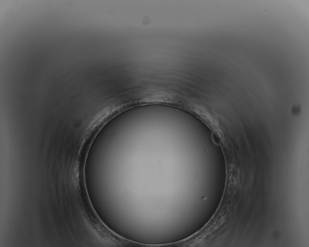 X0000097980298200804011751