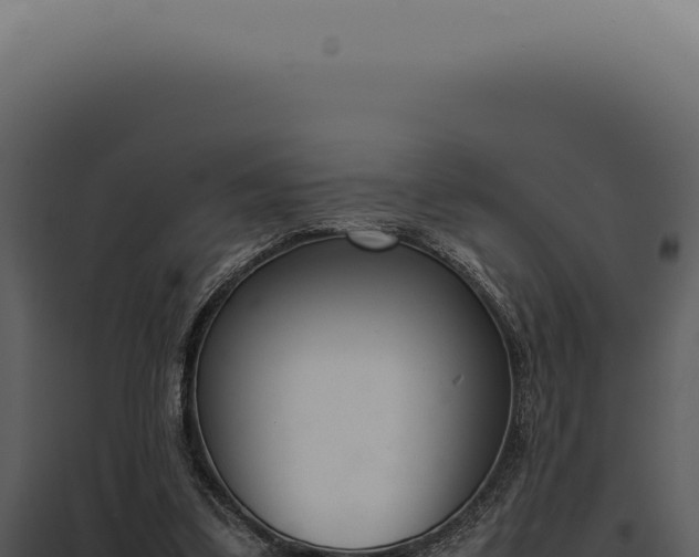 X0000097980299200804011751