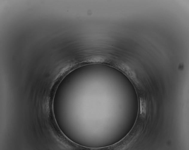 X0000097980300200804011751