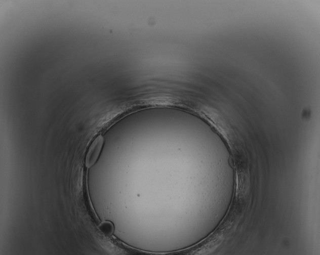 X0000097980301200804011751