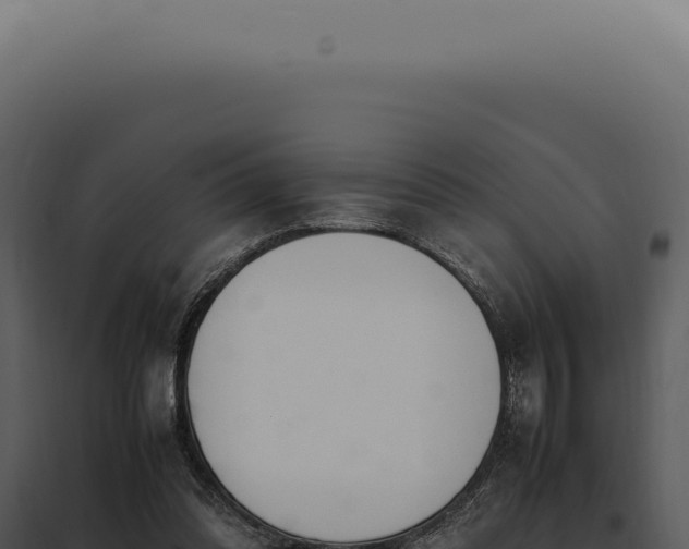 X0000097980302200804011751