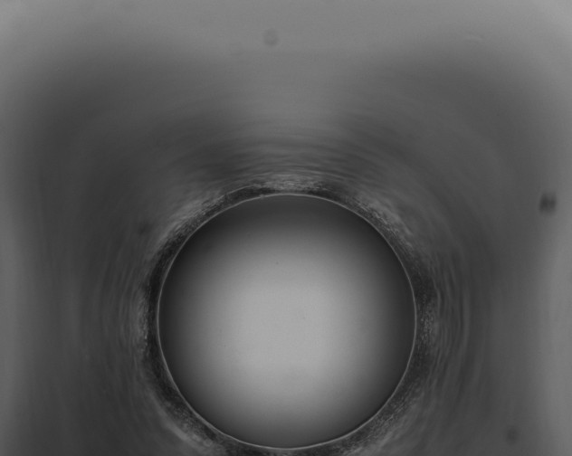 X0000097980303200804011751