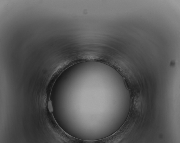 X0000097980304200804011751