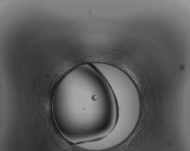 X0000097980305200804011751