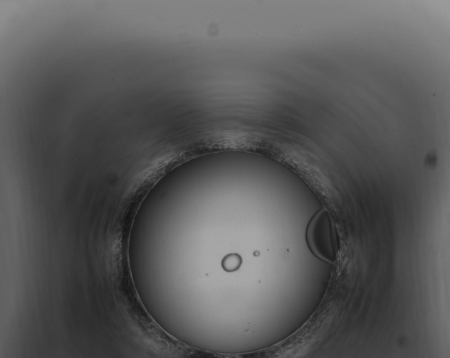 X0000097980306200804011751