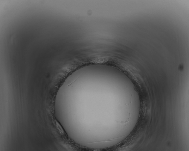 X0000097980307200804011751