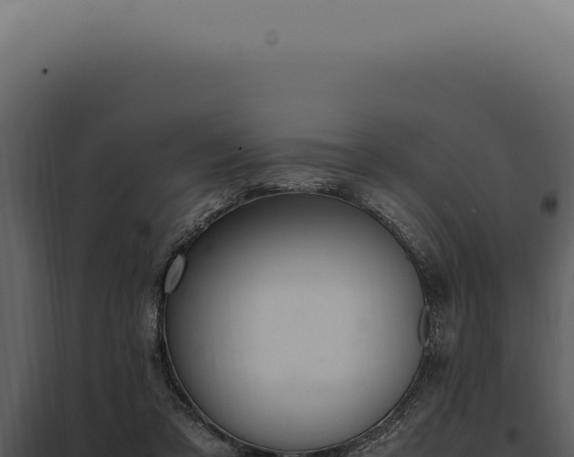 X0000097980309200804011751