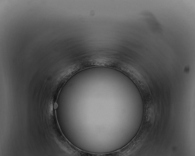 X0000097980310200804011751