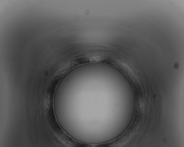 X0000097980311200804011751