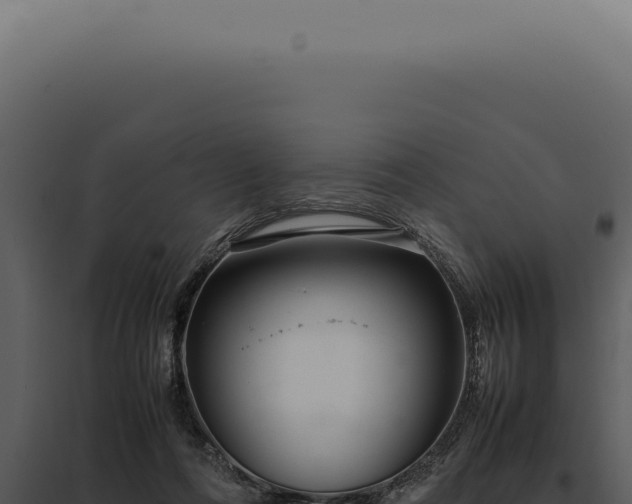 X0000097980312200804011751