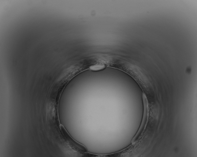 X0000097980313200804011751