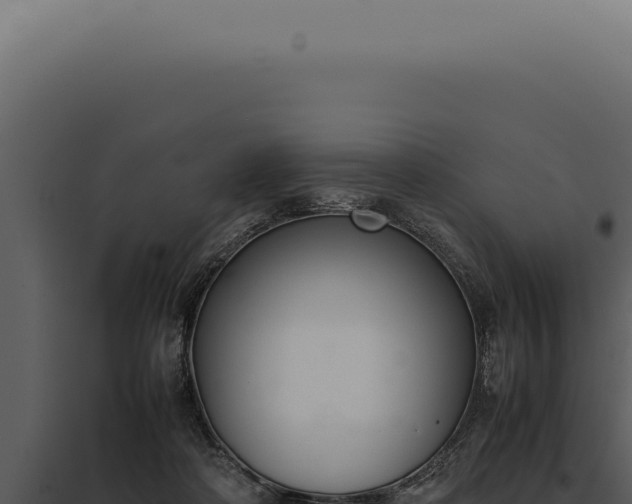 X0000097980314200804011751