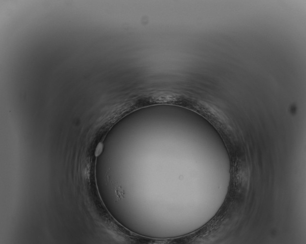 X0000097980315200804011751