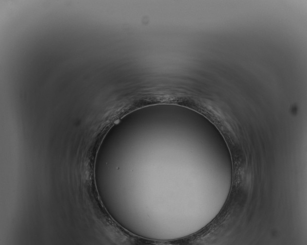 X0000097980317200804011751